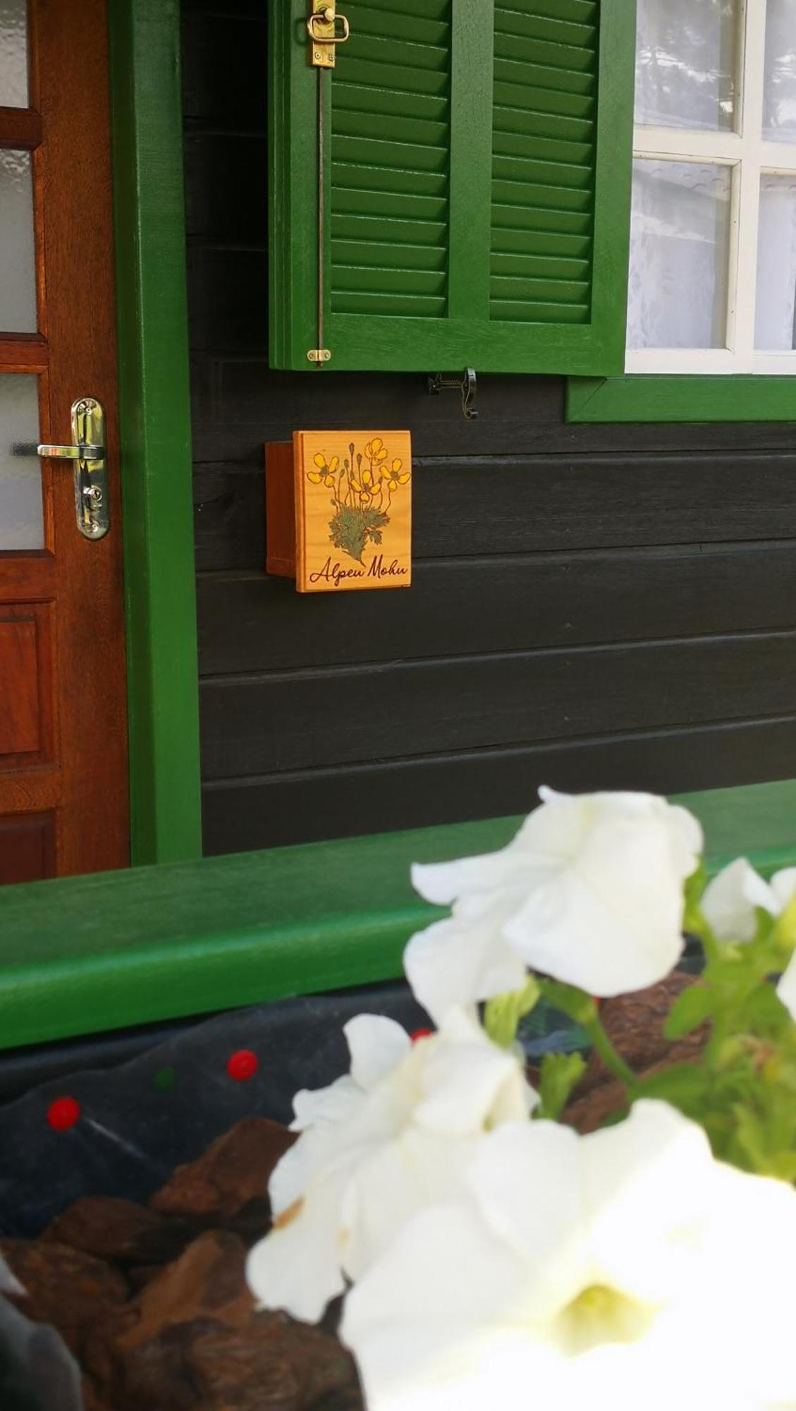 ウルビシRefugio Alpenblumenアパートメント 部屋 写真