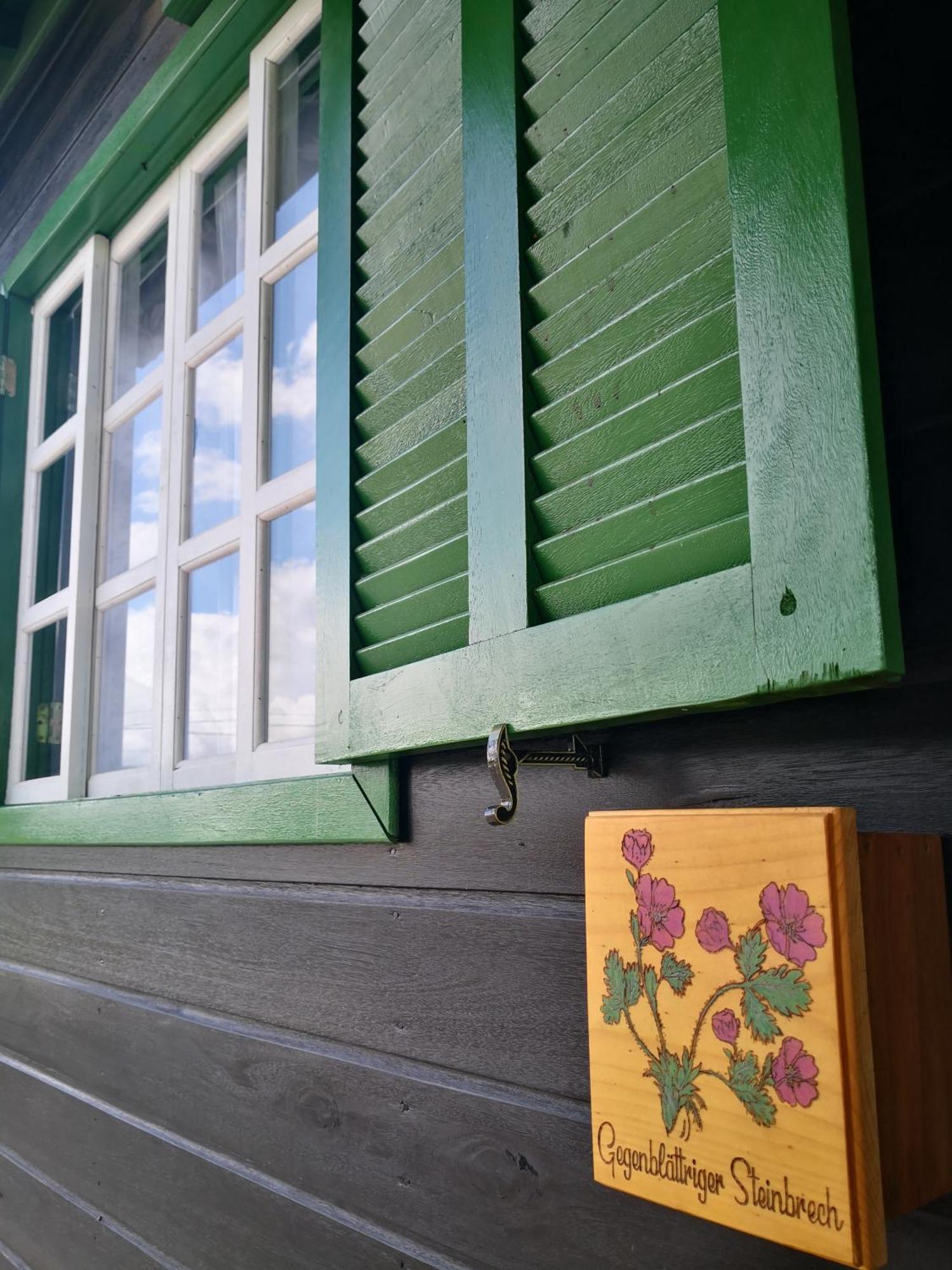 ウルビシRefugio Alpenblumenアパートメント 部屋 写真